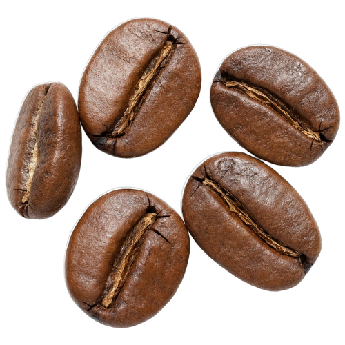 A few freshly roasted coffee beans